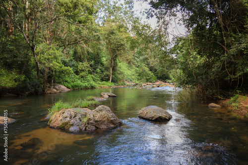 Scenic stream in Nelliyampathy with trees and rocks