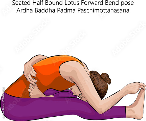 Young woman doing yoga Ardha Baddha Padma Paschimottanasana. Seated Half Bound Lotus Forward Bend pose. Isolated vector illustration.