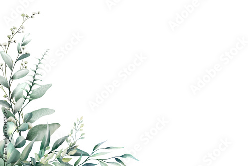 Illustration of eucalyptus leaves and flowers in watercolor. A frame of greenery adorns the corner border
