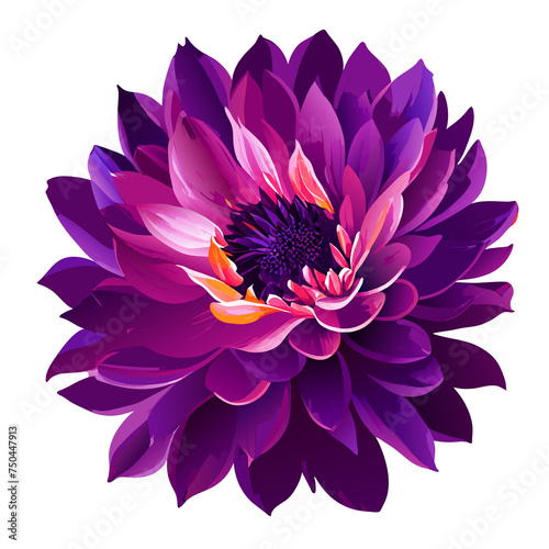 A delicate pink lotus flower in full bloom with soft petals  isolated on a white background