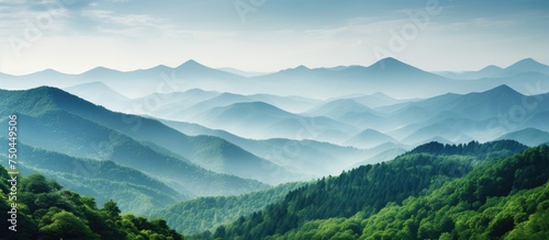Serene Mountain Range Blanketed with Lush Green Trees Amidst Clear Skies and Fresh Air