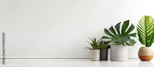 Vibrant Artificial Potted Plants Enhancing Modern Kitchen Decor with Greenery Accents