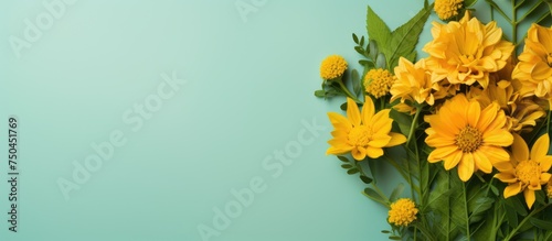 Vibrant Yellow Flowers Blooming Against a Serene Blue Background