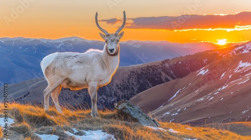 A graceful white deer roams among the green forest. The beauty of brown natural wildlife