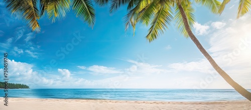 Tropical Paradise  Coconut Palm Trees on Sun-Kissed Beach with Turquoise Waters and Blue Sky