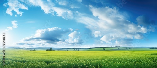 Serene View of Lush Green Pastures in the Countryside under a Clear Blue Sky © HN Works