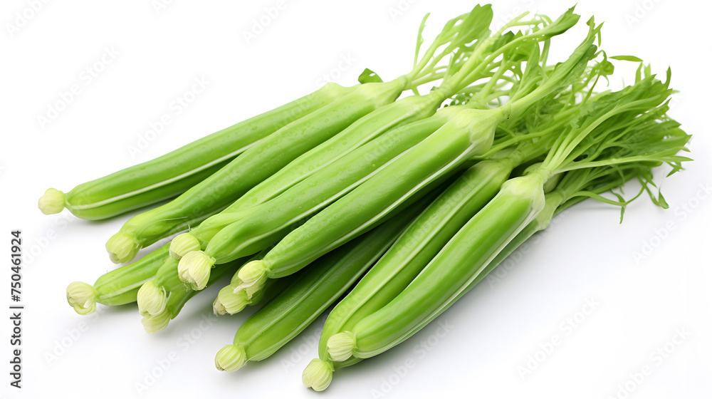 Chinese okra isolated on white background. Chinese okra isolated on white background.