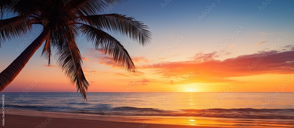 Serene Palm Tree on Golden Sandy Beach at Sunrise, Tranquil Tropical Landscape