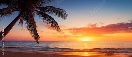 Serene Palm Tree on Golden Sandy Beach at Sunrise, Tranquil Tropical Landscape