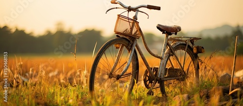 Rusty Bicycle Rests in Tall Grass on the Edge of a Serene Village Road © HN Works