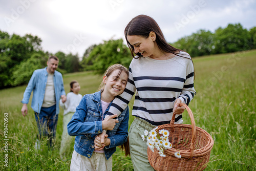 Family on walk in forest, going through meadow. Picking mushrooms, herbs, flowers picking in basket, foraging. Concept of family ecological hobby in nature.