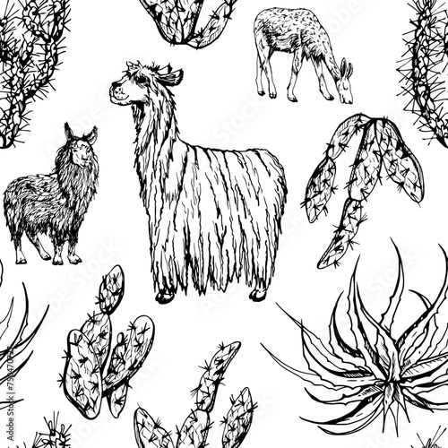 Hand drawn ink vector illustration, nature desert plant succulent cactus aloe agave, llama alpaca wool animals. Seamless pattern isolated on white background. Design travel, vacation, brochure, print