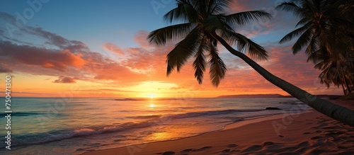Tranquil Palm Tree Silhouette at Sunrise on a Serene Sandy Beach