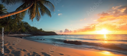 Tranquil Sunrise Scene with Palm Tree on Sandy Beach - Coastal Relaxation Concept