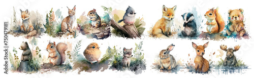 Watercolor Collection of Forest Animals: A Beautiful Set of Hand-Painted Wildlife Including Fox, Squirrel, Raccoon