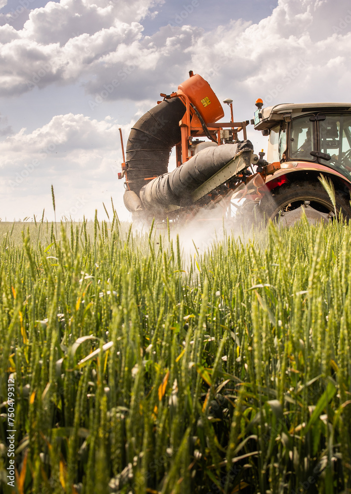 Tractor spraying pesticides wheat field. Tractor spraying pesticides wheat field.