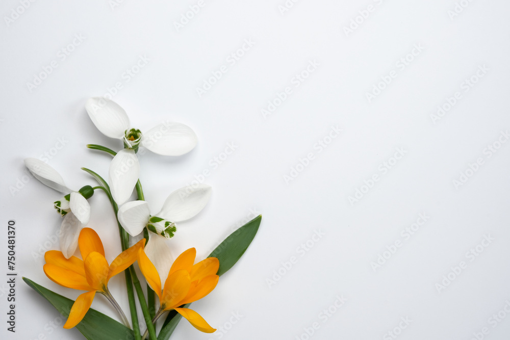 Flower flat lay from different spring flowers on a white background. Top view, flat lay and copy space.