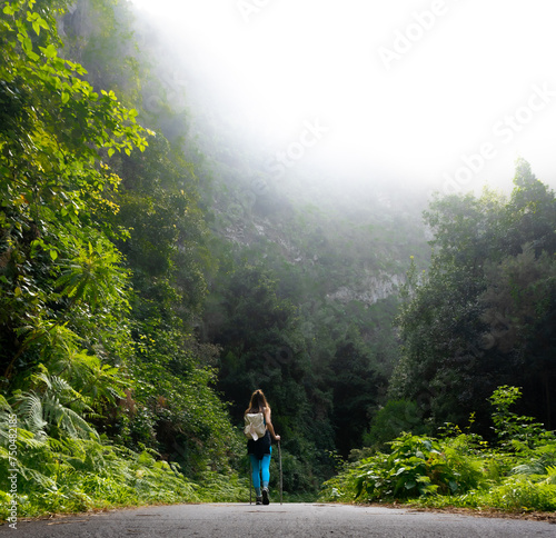 Hiker woman walking with poles along a path in the jungle, from behind