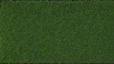green trimmed bush hedge fencing, png file of isolated cutout object on transparent background