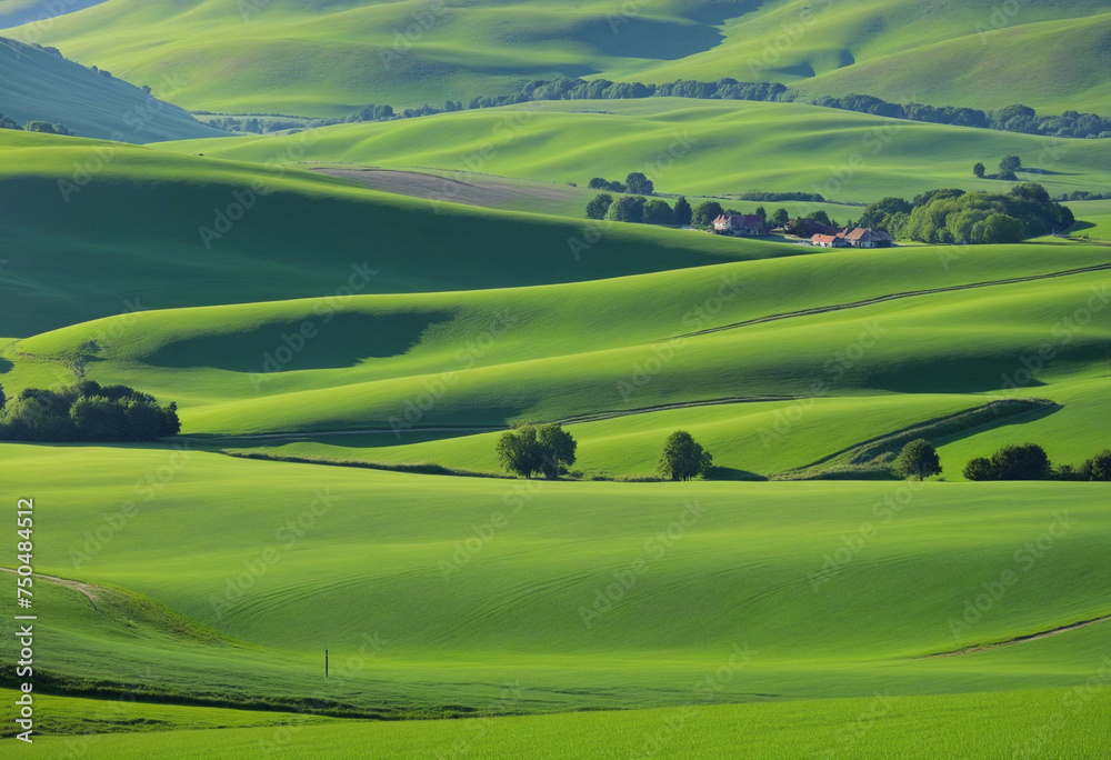 Endless Green Fields, panoramic landscape with green rolling hills in spring sunny morning