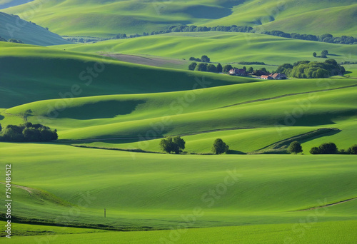 Endless Green Fields  panoramic landscape with green rolling hills in spring sunny morning