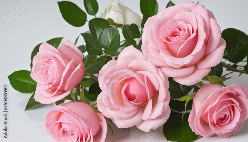 pink roses beautiful gift for wedding or anniversary backgroudn © Fukurou