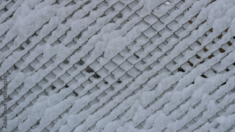 Snow sticking on a wire mesh fence, a fragment of fencing from a grate covered with a layer of wet fresh snow, a white texture graphic resource of winter with a geometric pattern Snow sticking on a wire mesh fence, a fragment of fencing from a grate covered with a layer of wet fresh snow, a white texture graphic resource of winter with a geometric pattern