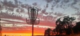 DIsc golf Basket Sunset
