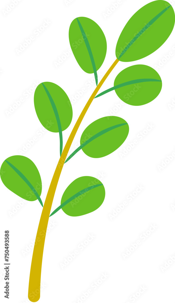 Green Leaf Twig