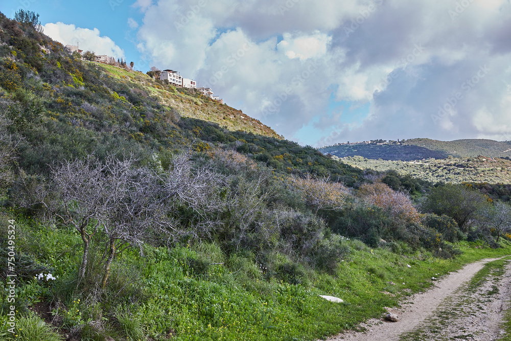 Peaceful Green Hills and Cloudy Blue Sky Landscape with Vibrant Colors Peaceful Green Hills and Cloudy Blue Sky Landscape with Vibrant Colors
