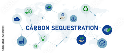 carbon sequestration ecology friendly natural environment organic conservation global