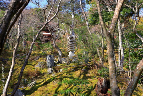 Jojakkoji Temple, a Buddhist temple in a serene forest at Sagaogurayama Oguracho, Ukyo Ward, Kyoto, Japan photo
