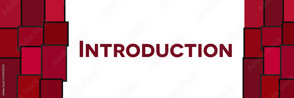 Introduction Pink Red Grid Left Right Introduction Pink Red Grid Left Right