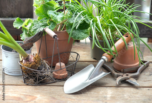 garden tools with a little shovel on a wooden table among  flowerpot and plant