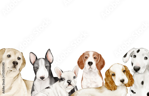 Watercolor border with bull terrier, French bulldog, beagle, Labrador retriever, Cocker spaniel, Dalmatian for design postcards, packaging, posters