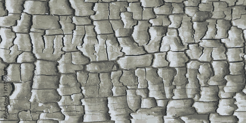 Burnt wood. Texture of burnt wood. Vector illustration