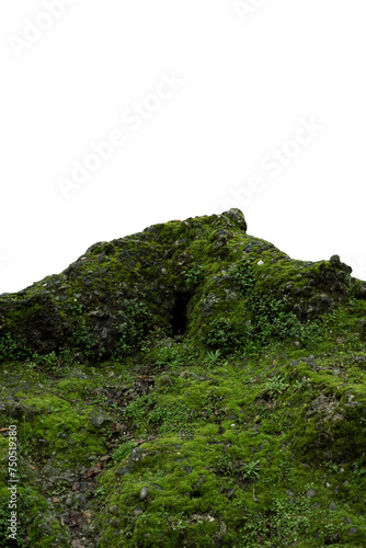 rocks in the mountains covered by moss
