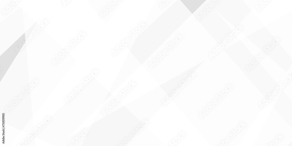 Abstract background with white and gray and geometric style with simple ...