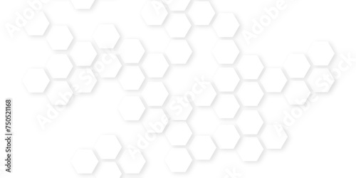 Abstract White Hexagonal Background.honeycomb white Background ,light and shadow ,Hexagonal honeycomb pattern background,Geometric seamless texture white abstract background with hexagons. © Md sagor