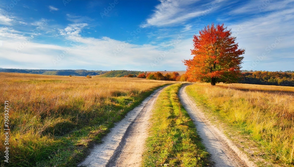 dirt road on autumn meadow