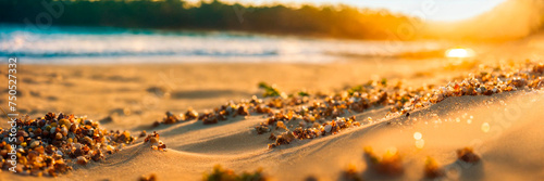 shiny sand on the seashore close-up. Selective focus.