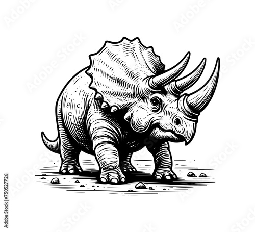 Triceratop Hand drawn illustration vector graphic photo