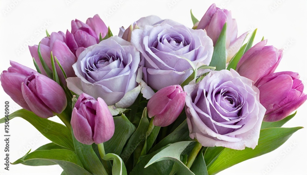 bouquet of soft lilac roses and purple tulips isolated on a transparent background png file floral arrangement can be used for invitations greeting wedding card