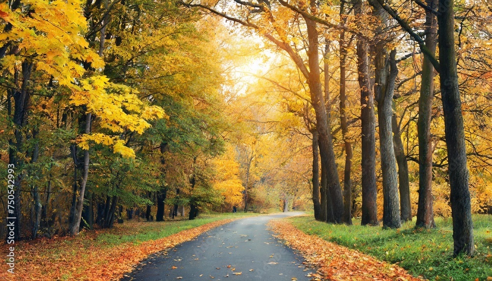 road in autumn park