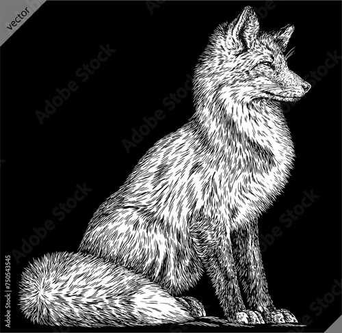 Vintage engraving isolated fox set illustration ink sketch. Wild animal background foxy animal silhouette art. Black and white hand drawn vector image.