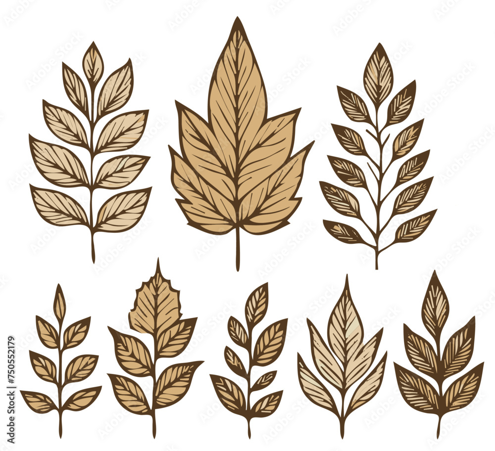 Captivating Vector Image of Simplified Autumn or Fall Leaves: Elegant and Natural Leaf Designs for Your Seasonal Projects