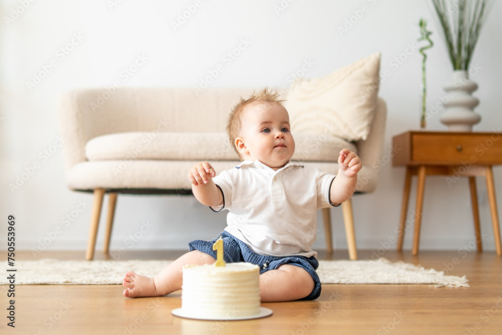 Baby Sitting in Front of Cake Baby Sitting in Front of Cake