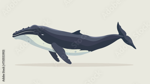 Flat icon whale. Full length Flat vector