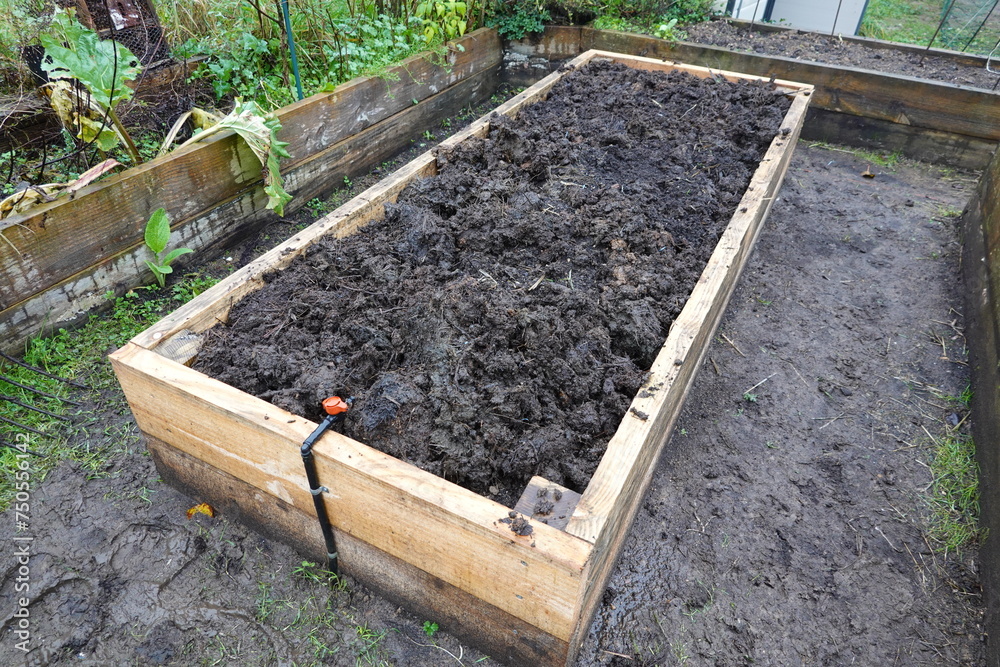 Foto de raised wooden bed with cured cow manure to fertilize the soil. urban family vegetable