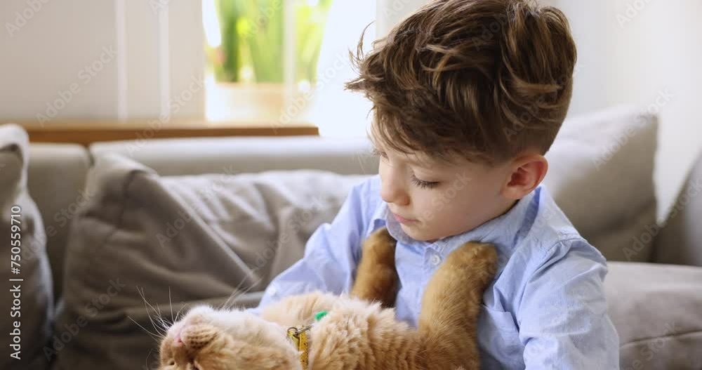 Close up little boy play with fluffy ginger purebred cat, enjoy spend time with lovely animal at home. Communication, bond between pet and child, positive effects on physical and emotional well-being